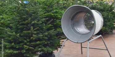 Weihnachtsbaumverkauf